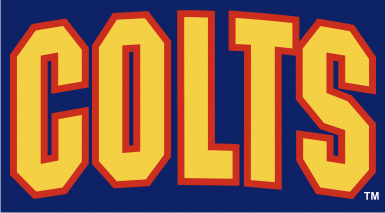 Barrie Colts 1994-pres wordmark logo iron on transfers for clothing